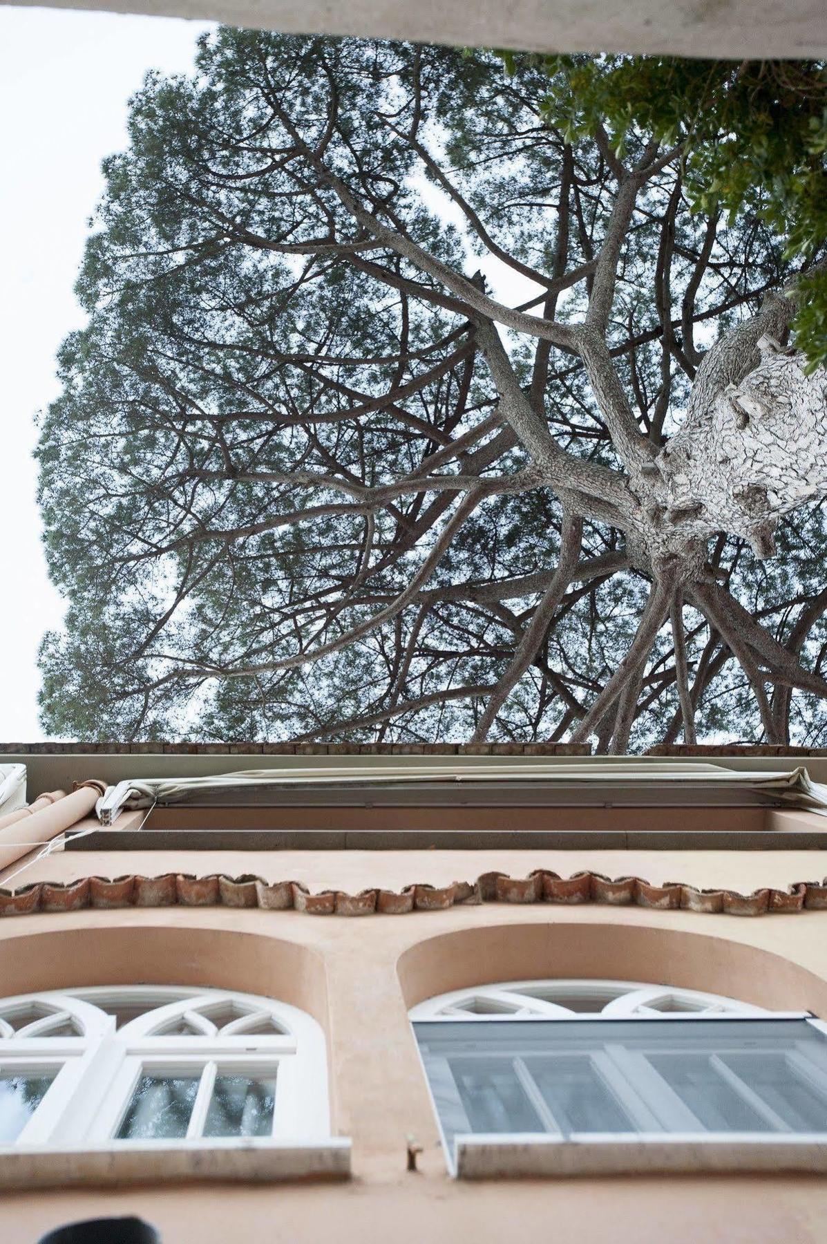 La Casa Di Carla Apartment Ravello Ngoại thất bức ảnh